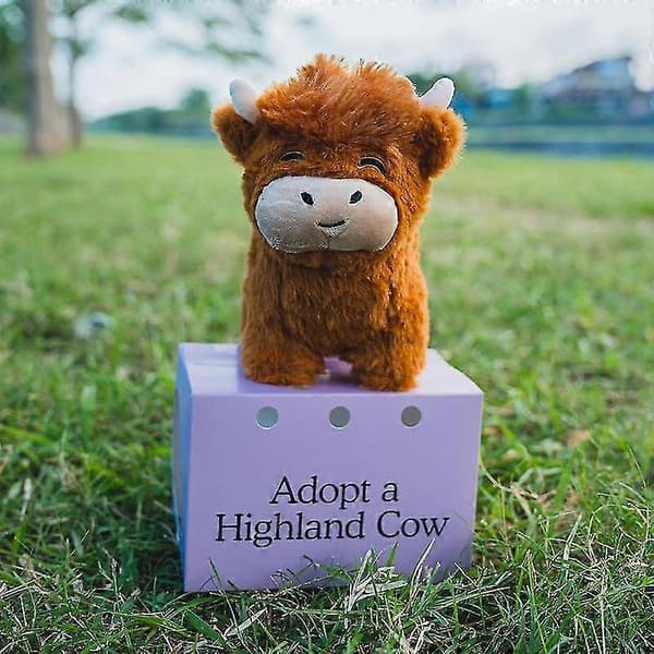 Adopter en Highland Ko Plys, sød ko-bamse, fluffy ko-figurlegetøj