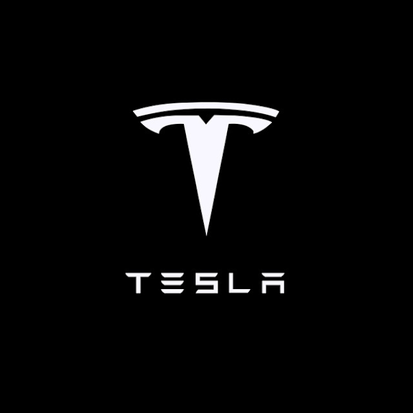 2 st LED dörrljusprojektorer för TESLA MODEL3 X modelS