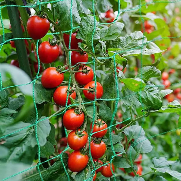 1,8×3,6m Grøn Nylon Havegitternet til Klatreplanter Robust Net til Agurk Tomat Druer Havetilbehør