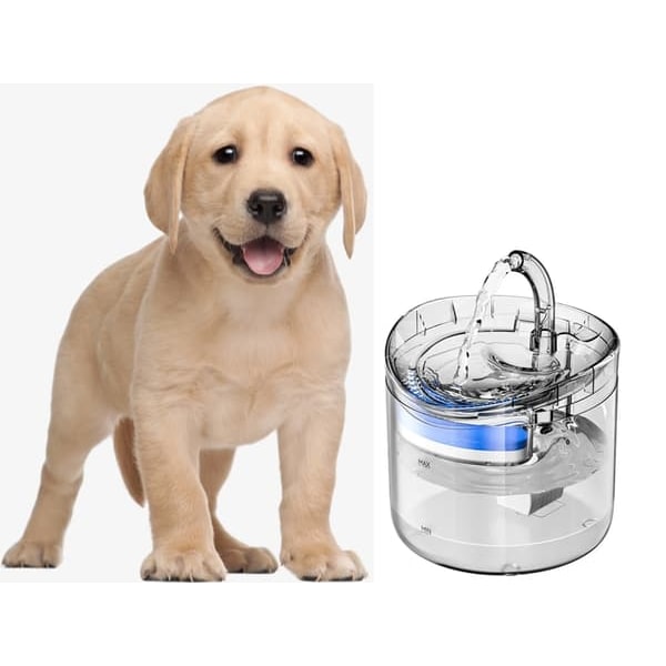 Vanddispenser til Hunde & Katte - Automatisk Vandfontæne