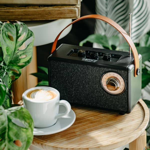 FM radio med Bluetooth og TWS funktion - sort