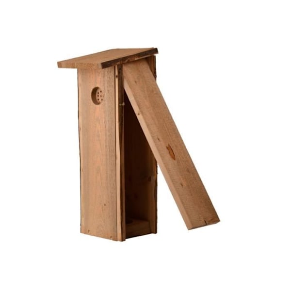 Stor hackspetts holk