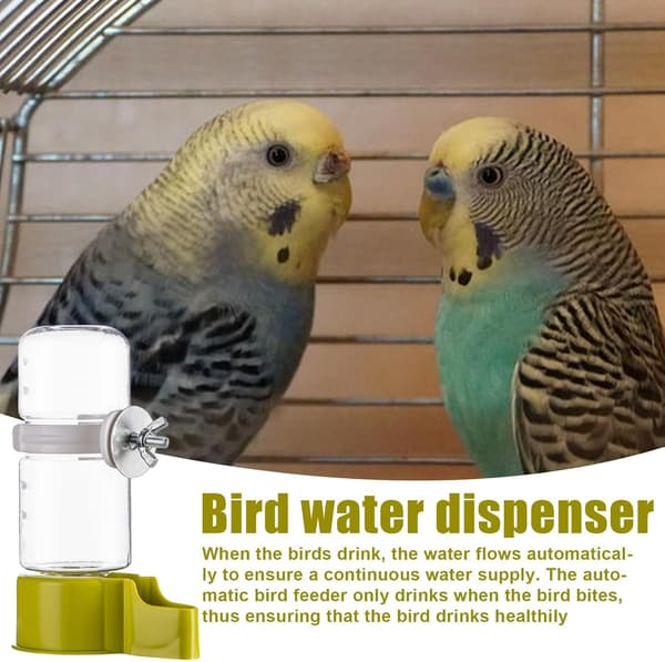 Automatisk fuglevanddispenser, fuglevandfontæne, automatisk fugledrikker, fuglefoder