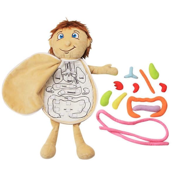 Lasten koottava pehmokroppa, ihmisen anatomian pehmolelu