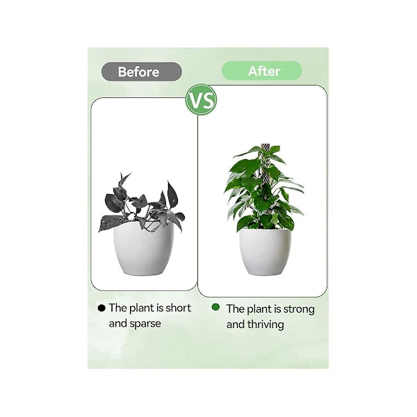 Plast Moss Monstera Stödnät Kit, DIY Självbevattnande Moss Pinne För Växter, Monstera Stöd