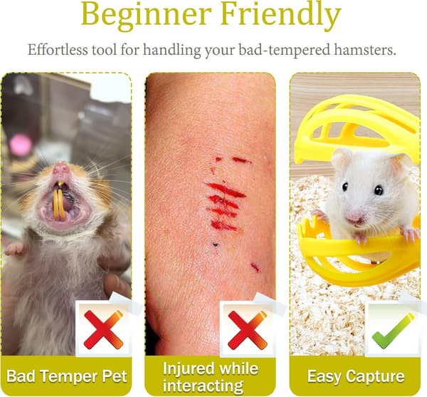 Hamster Legetunnel Legetøj Træningsrør Skjulested til Dværg Syriske Roborovski Gerbiler Mus Små Dyr