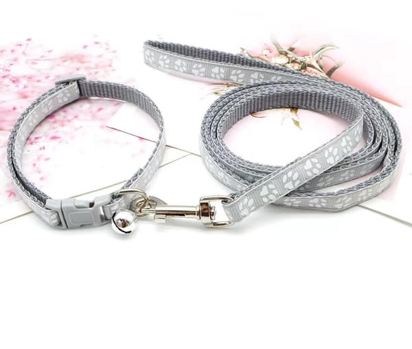 Hundehalsbånd med snor justerbar blød nylon 1,2m, til små hunde grå