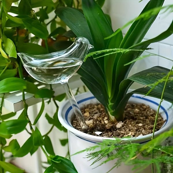 5-pack självbevattningsglober för krukväxter och bonsai 5pcs