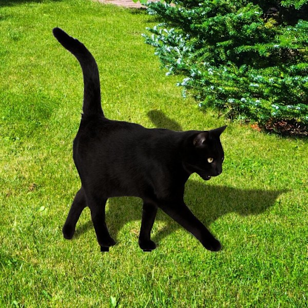 Kattestatuer Skulpturer Kattedekorasjoner A A A A