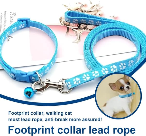 Hundehvalpehalsbånd med snor justerbar blød nylon 1,2m, til små hunde orange