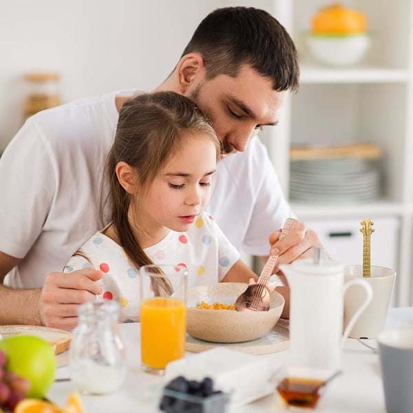 Sæt med 6 rustfrie dessertskeer, teskeer, kaffeskeer, rustfrie gitarskeer