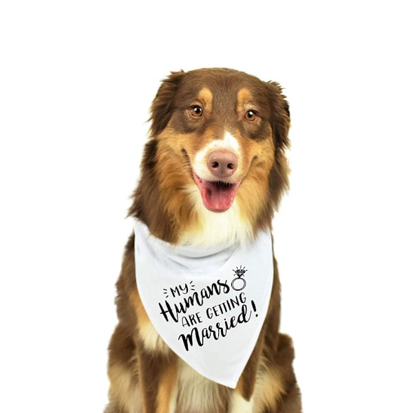 Hundbryllupsbandana Mine mennesker gifter seg Hun sa ja Kjæledyr for triangelhaklappar Halsduk Halsduk Forlovelseskunngjøring Fotorekvisita 0.03 A