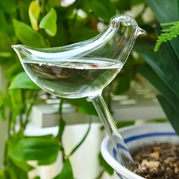 5-pack självbevattningsglober för krukväxter och bonsai 5pcs