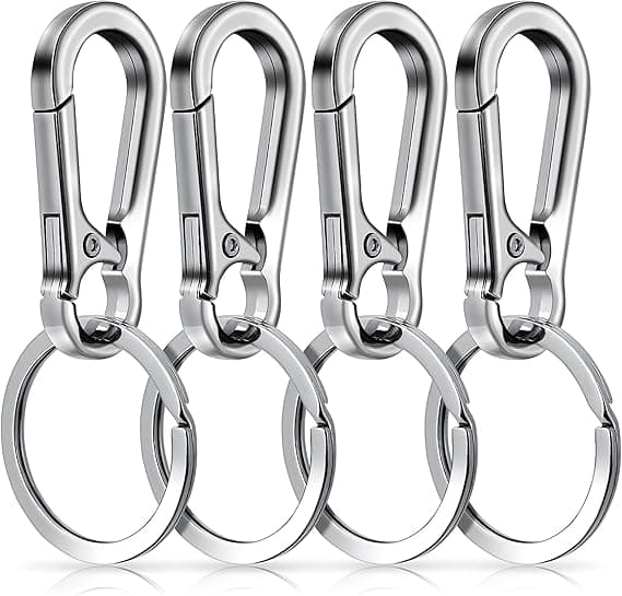 Metal Keychain Carabiner Key Ring Key Chain Clips Hook Holder Organizer for Unisex, 4-Pack, Silver