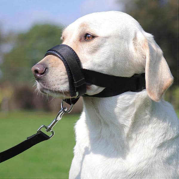 Soft Muzzle for Large Dogs, Adjustable Anti-Barking Guard, Pet Muzzle to Prevent Biting and Chewing, Comfortable Fit