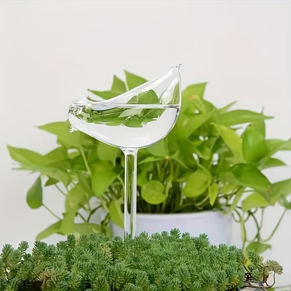 5-pack självbevattningsglober för krukväxter och bonsai 5pcs