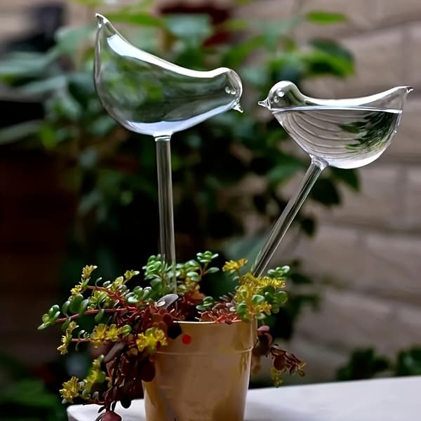 5-pack självbevattningsglober för krukväxter och bonsai 5pcs