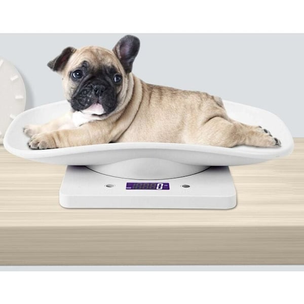 10kg/1g Digital Våg för Smådjur Mäter Exakt för Katter och Hundar, Djur ...