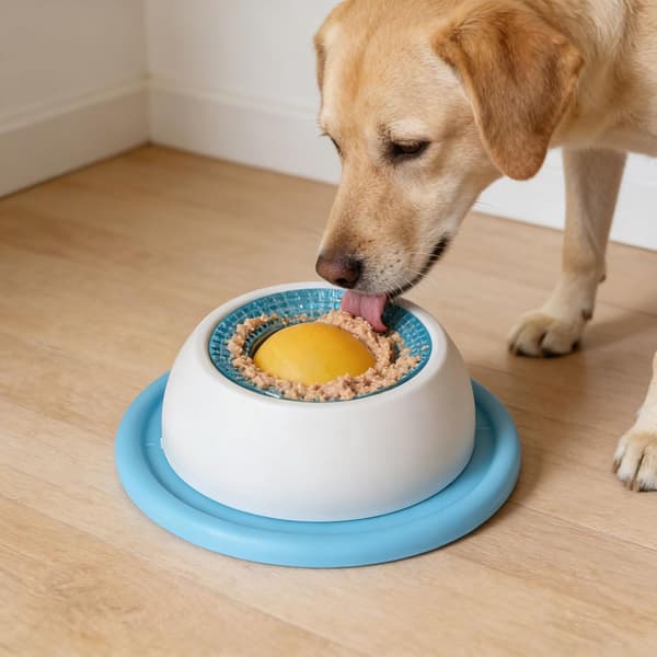 Interaktiv hund leksak & långsam matare boll för mental stimulans Blue (Dog) size