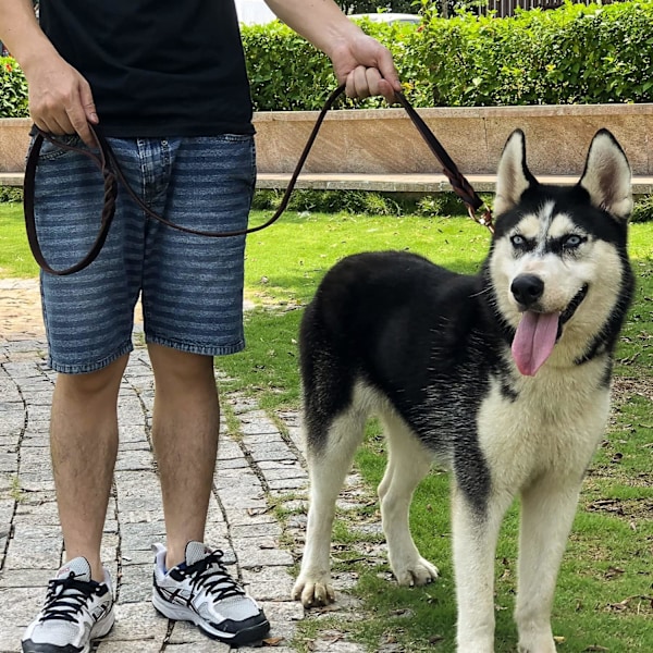 Keskikokoinen nahkainen koiran talutushihna Kestävä, pehmeä ja mukava punottu nahkatalutushihna sopii koiran koulutukseen keskikokoisille ja pienille koirille