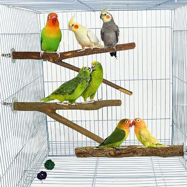 Setti, jossa 5 luonnollista puutikkua linnuille, luonnolliset puutikut, lintutarvikkeet, undulaatit, lintulelut, seisontatelineet, lintuhäkki