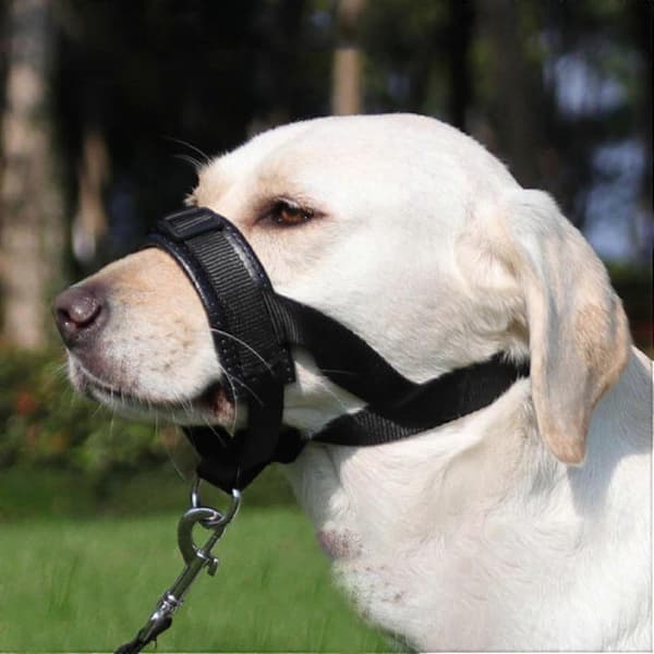 Soft Muzzle for Large Dogs, Adjustable Anti-Barking Guard, Pet Muzzle to Prevent Biting and Chewing, Comfortable Fit