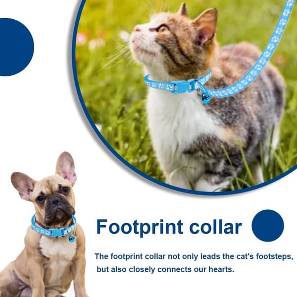 Hundehalsbånd med snor justerbar blød nylon 1,2m, til små hunde grå