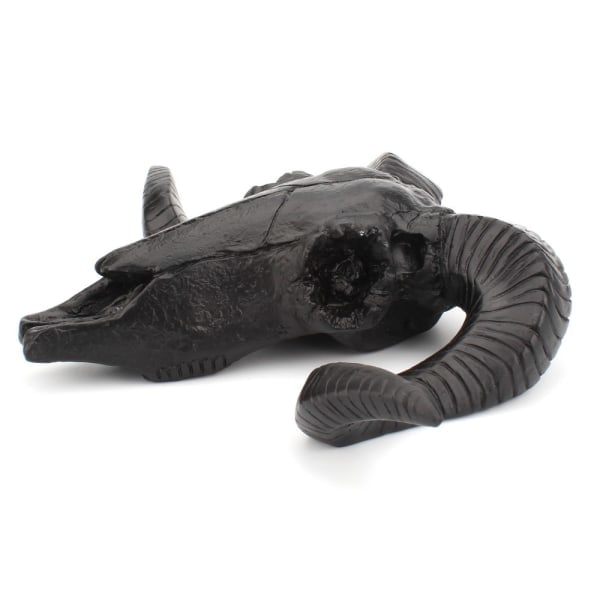 Shofar Dödskalle Ornament Personlig Halloween Dekoration Harts Vägg För Hem L...