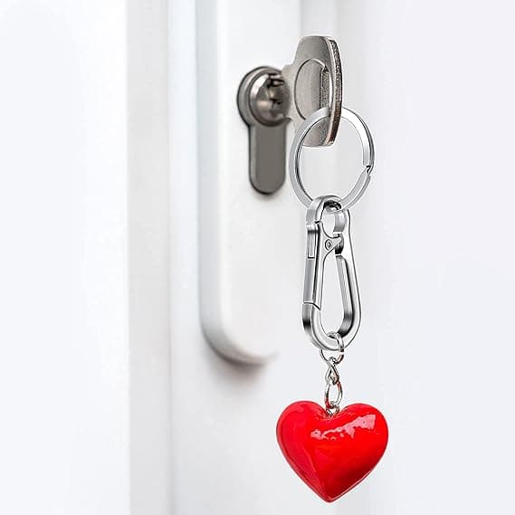 Metal Keychain Carabiner Key Ring Key Chain Clips Hook Holder Organizer for Unisex, 4-Pack, Silver