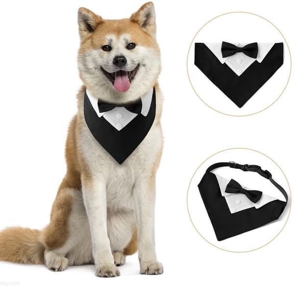 Smoking bandana halsbånd til hunde, formelt med butterfly til små mellemstore store justerbart