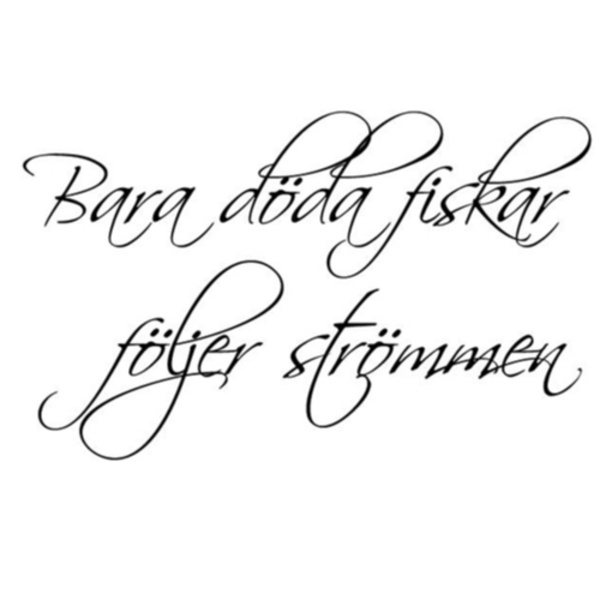 Bara döda fiskar följer.. Väggord