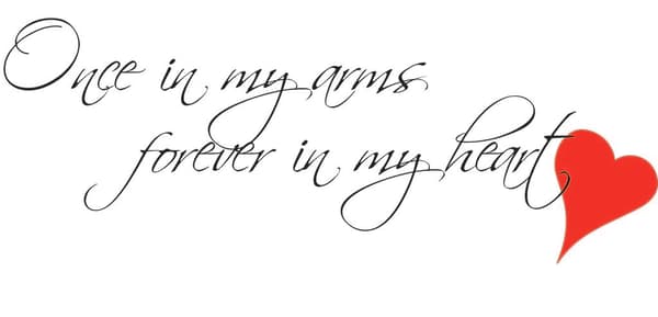 Once in my arms... Stor 100x35 Väggord Väggtext Väggdekor