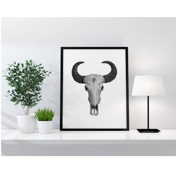 Poster Buffalo Horn  Svart/Vit A4