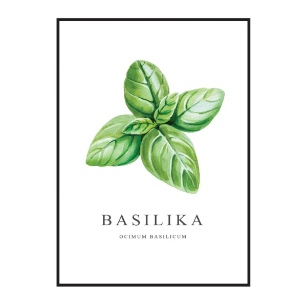 Poster Basilika  A4