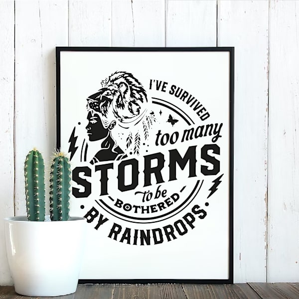 I've survived too many storms Poster