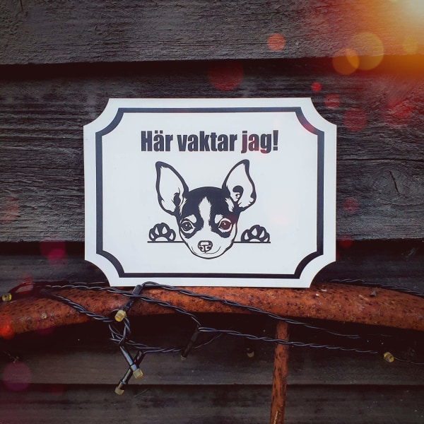 Här vaktar jag hund skylt Chihuahua Självhäftande, graverad