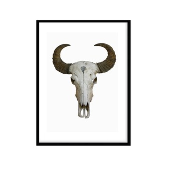Poster Buffalo Horn  Färg A4