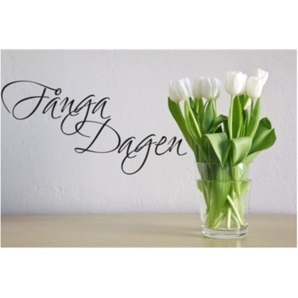 Fånga Dagen Väggord Väggtext