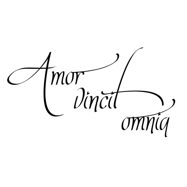 Amor vincit omnia Väggdekor Väggord Väggtext Dekor