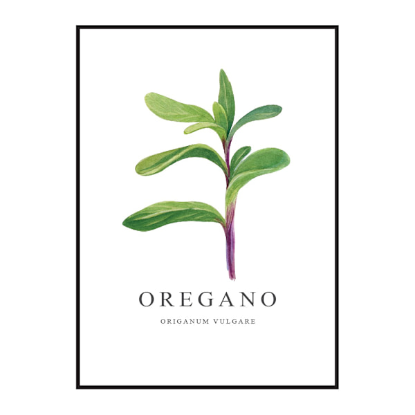 Poster Oregano A4