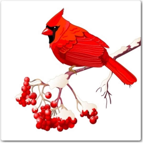 Kardinalfågel kakeldekor 12-pack