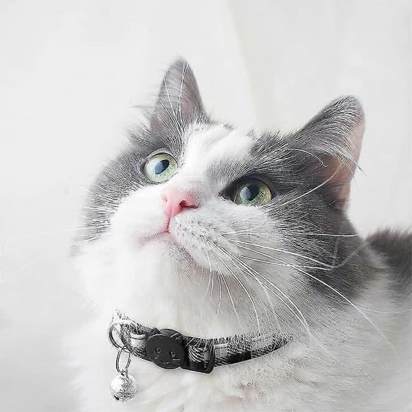 Halsband för husdjur med bjällror, rosetter och säkerhetsspännen (Peng)