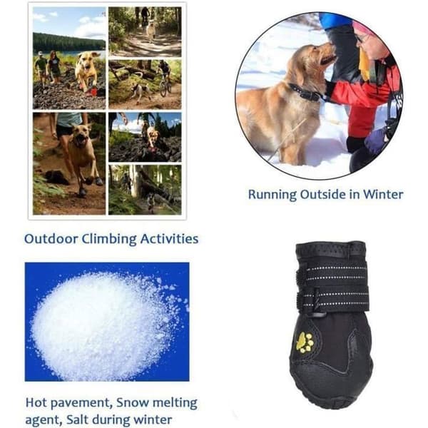Hundskor - 4-pack - Vattentäta - Halkfria - Bekväma ENEVAOCT (Pe)