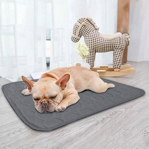 Hunde kølemåtte, kølemåtte til hunde, kølemåtte til små og mellemstore hunde, mørkegrå, 55*70cm, kurv (Pe)