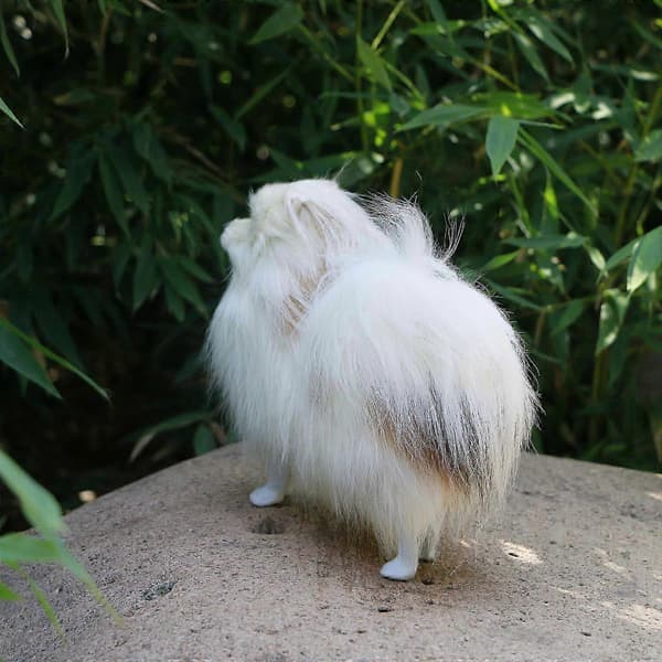 Pehmolelut Simulaatiomalli Simulaatio Pomeranian-koiramalli Lelut Lasten lahjat (PE)