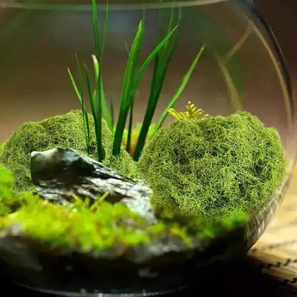 Kunstig mos 100g, åndbar, grøn falsk mos til terrarier, akvarier, haver (Pe)