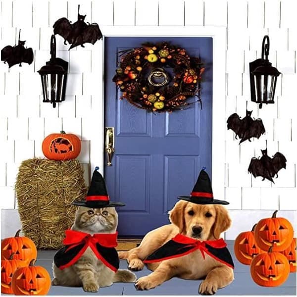 Kæledyrskostume til kat - Halloween - Vampyrkappe og troldmandshat - Hund (Pe)