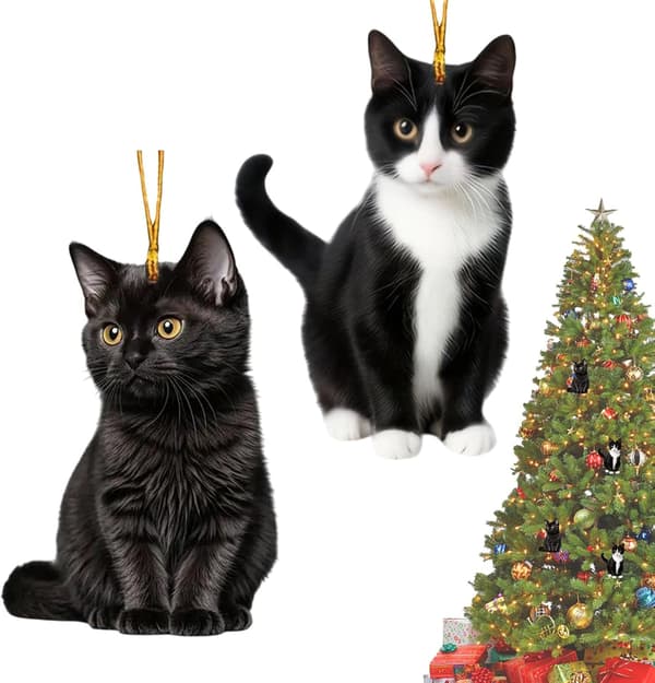 Julkattprydnader 2D Akrylplatta Dekorationer 6-pack (Pe)