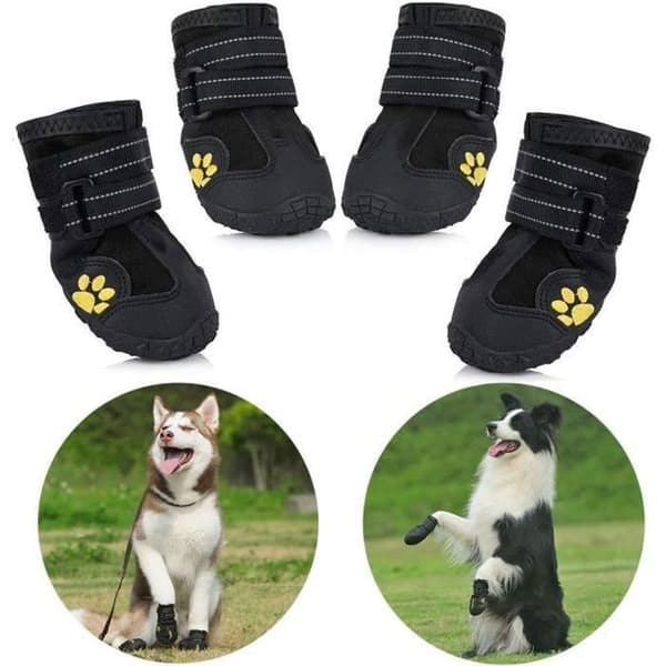 Hundskor - 4-pack - Vattentäta - Halkfria - Bekväma ENEVAOCT (Pe)