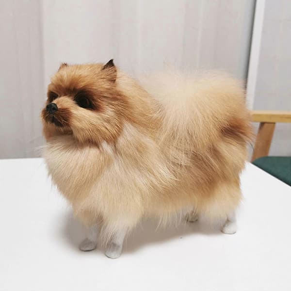 Plyslegetøj Simulationsmodel Simulations Pomeranian Hundemodel Legetøj Børnegaver (PE)